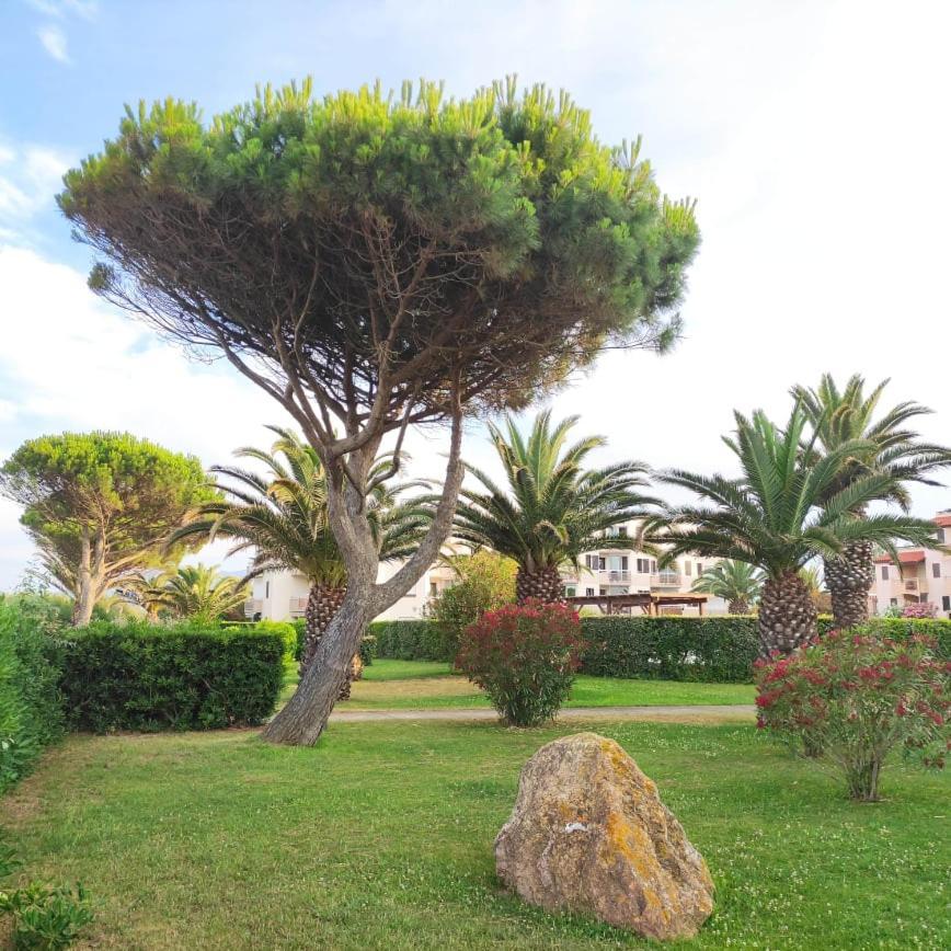 Les Capitelles 5 - Acces Direct A La Plage Depuis Le Jardin - T2 Avec Cabine - 6 Pers - Jardin - Piscine - Parking แซงต์-ซีเปรียง ภายนอก รูปภาพ