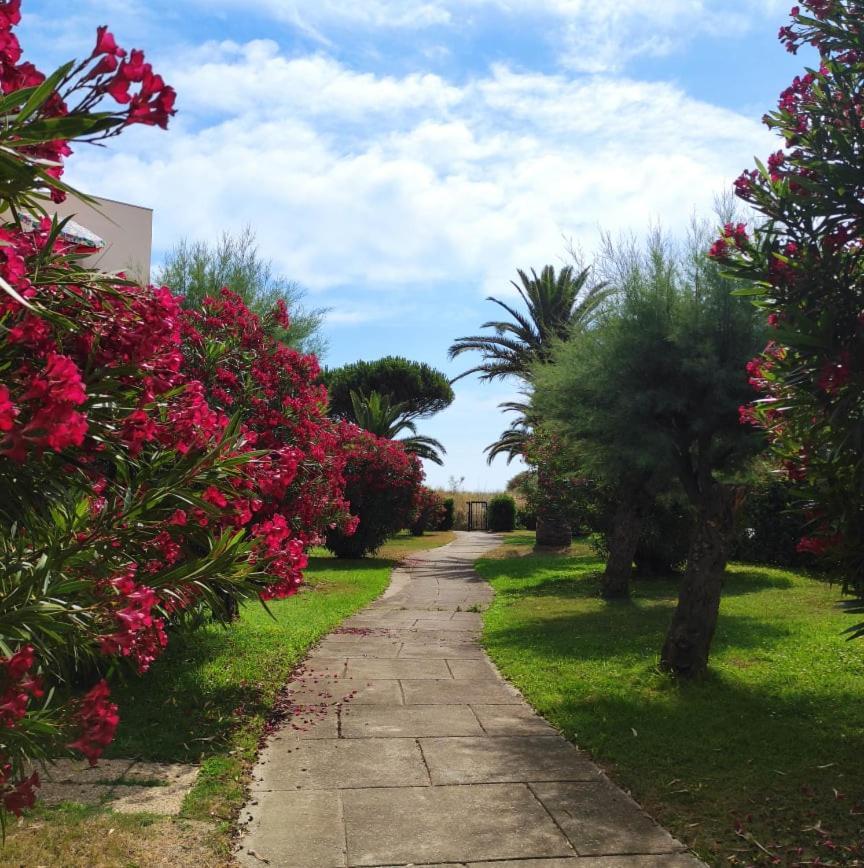 Les Capitelles 5 - Acces Direct A La Plage Depuis Le Jardin - T2 Avec Cabine - 6 Pers - Jardin - Piscine - Parking แซงต์-ซีเปรียง ภายนอก รูปภาพ